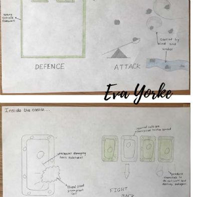tsa_HomeLearningScience (32)